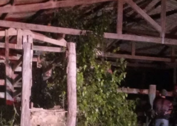 Homem é morto a tiros após discussão dentro de curral em Novo Repartimento.