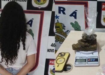 Mulher foi presa por suspeita de tráfico de drogas e associação para o tráfico em Novo Progresso, na noite do último sábado (28). (Reprodução Redes Sociais)