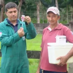 Adepará divulga datas para vacinação anual contra a Raiva dos Herbívoros no Pará