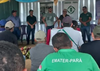 Em Senador José Porfírio, mutirão da Emater foca em documentação para assegurar acesso a direitos a agricultores
