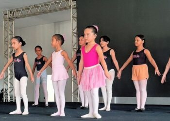 Foto: Ascom/PMA - Divulgação