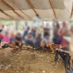 Cerca de 20 pessoas ocupam área do IATAI em Uruará (PA)