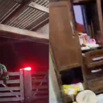 VÍDEO: Família é mantida refém durante assalto a residência na zona rural de Brasil Novo (PA)