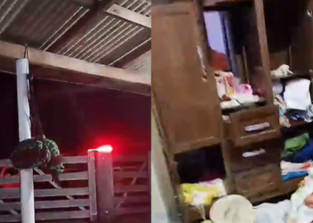 Família é feita refém por 5 horas durante assalto na zona rural de Brasil Novo (PA)