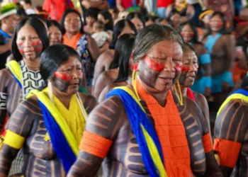 Foto: Agência Pará / Divulgação