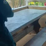 Jovem é morto com tiro de espingarda na zona rural de Uruará