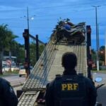 Operação contra irregularidades de motociclistas apreende 87 veículos e prende 7 no sudeste do Pará