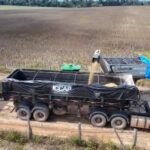 Primeira colheita de soja marca avanço do agronegócio em Vitória do Xingu (PA)