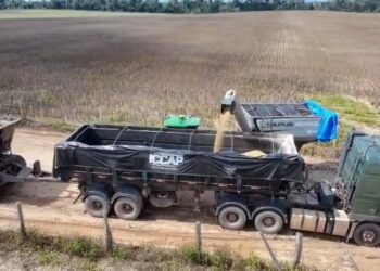Primeira colheita de soja marca avanço do agronegócio em Vitória do Xingu (PA)