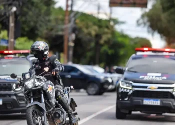 Foto: Agência Pará / Divulgação