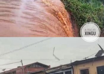 VÍDEO: Temporal provoca alagamentos em Altamira e deixa BR-230 intrafegável