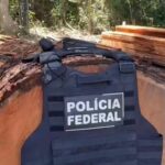 Garimpos e serrarias ilegais são fechados em operação na Terra Indígena Kayapó, no sudeste do Pará