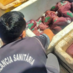 Mais de 200 litros de açaí ilegal são apreendidos em Óbidos