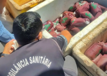 Mais de 200 litros de açaí sem origem comprovada são apreendidos em Óbidos. (Foto: Divulgação)