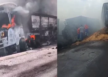 Colisão entre carretas deixa uma pessoa morta na PA-150, em Goianésia do Pará. (Foto: Redes Sociais)