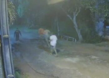 Pelo menos quatro dos 14 foragidos, da Central de Custódia Provisória de Santa Izabel, foram recapturados até a noite desta segunda-feira (06). (Reprodução Redes Sociais)