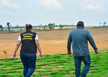 Foto: Divulgação/ Ag. Pará