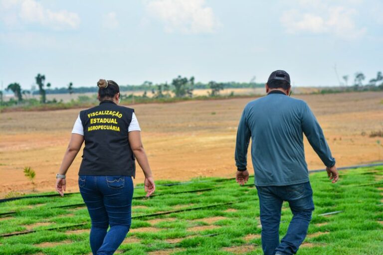 Foto: Divulgação/ Ag. Pará
