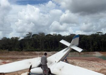 fonte Avião caiu ainda pela manhã (Foto: Reprodução | Redes sociais)