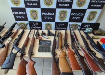 A imagem em destaque mostra as armas apreendidas pela Polícia Civil durante a ação policial. (Foto: Divulgação | Agência Pará)