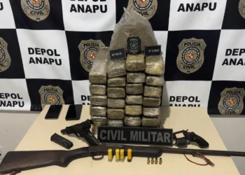 Plantação de maconha é descoberta em Anapu; três suspeitos morrem em confronto com a polícia