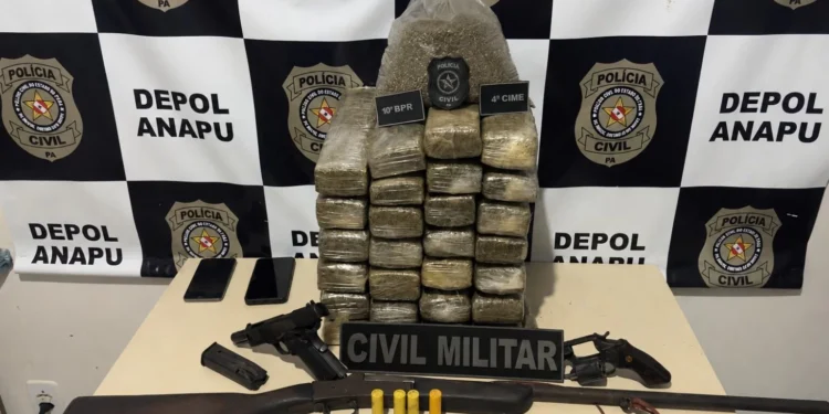 Plantação de maconha é descoberta em Anapu; três suspeitos morrem em confronto com a polícia