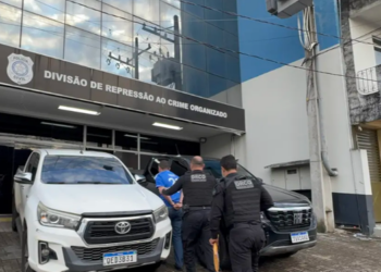 Operação prende 11 investigados por fraudes em transferência de veículos no Pará e mais três estados. (Foto: Polícia Civil)