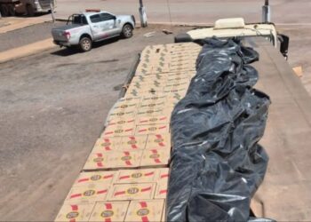 Equipe da Sefa apreende mais de 33 mil garrafas de cachaça em Novo Progresso. — Foto: Divulgação