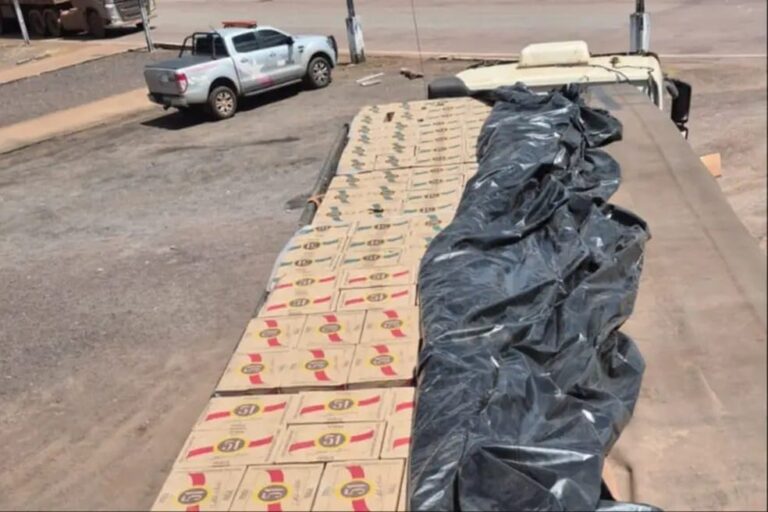 Equipe da Sefa apreende mais de 33 mil garrafas de cachaça em Novo Progresso. — Foto: Divulgação