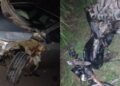 A imagem em destaque mostra os veículos envolvidos no acidente. (Foto: Reprodução | Portal Tailândia)