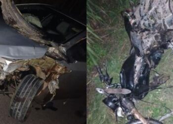 A imagem em destaque mostra os veículos envolvidos no acidente. (Foto: Reprodução | Portal Tailândia)
