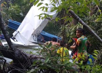 Avião de pequeno porte cai em área de mata na zona rural de Santarém. (Foto: Redes Sociais)