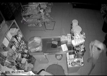 VÍDEO: Criminoso invade açougue pelo telhado e furta dinheiro e celular em Vitória do Xingu