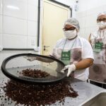 Da amêndoa à barra: curso transforma cacau em oportunidades para mulheres do Médio Xingu