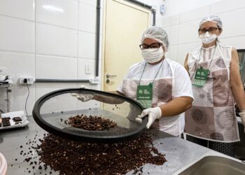 Foto: Norte Energia / Divulgação
