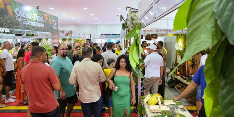 Festival Internacional do Chocolate e Cacau movimenta Altamira com cultura, turismo e negócios