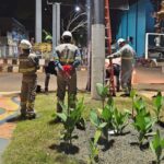 Operação conjunta remove placas publicitárias irregulares e identifica ligações clandestinas de energia em Altamira