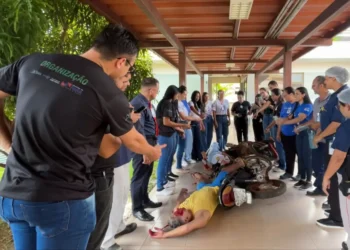 Foto: Agência Pará / Divulgação