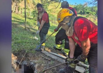 Suspeito de matar colega e esconder corpo em fossa morre após confronto com a PM em Parauapebas. (Reprodução/ redes sociais)