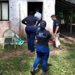 MTE resgata trabalhador de 64 anos em propriedade rural do Pará