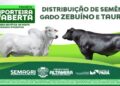 Prefeitura prorroga inscrições para distribuição de sêmen bovino em Altamira