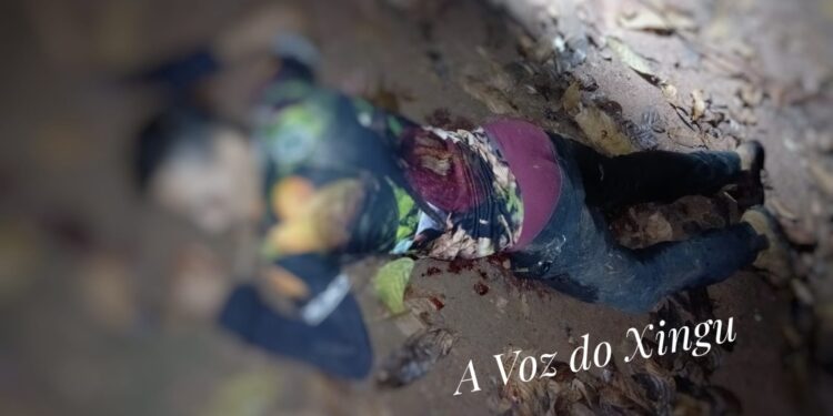 Brasil Novo: Suspeito é morto após reação de proprietário durante assalto a sítio no Travessão 9