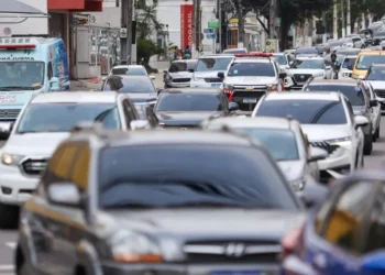 Foto: Agência Pará / Divulgação