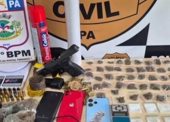 A apreensão ocorreu durante a operação “Dominó”, realizada com o objetivo de desarticular organizações criminosas atuantes em Dom Eliseu (Foto: Divulgação)