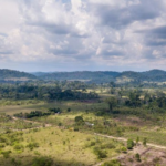 Justiça determina que Incra adote medidas contra ocupação ilegal no PDS Terra Nossa, entre Altamira e Novo Progresso (PA)