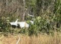 Cenipa investiga queda de avião que matou casal paraense no Tocantins. (Foto: Matheus Dias/TV Anhanguera)