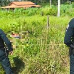 Dois homens são encontrados mortos com tiros e facadas pelo corpo às margens de rodovia, no Pará