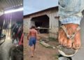 Homem trabalhava em condições análogas à escravidão. — Foto: AFT