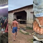 Idoso é resgatado após viver quase oito anos em situação análoga à escravidão, em Altamira (PA)