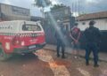 Mulher é agredida com socos na cabeça e companheiro acaba preso em Medicilândia